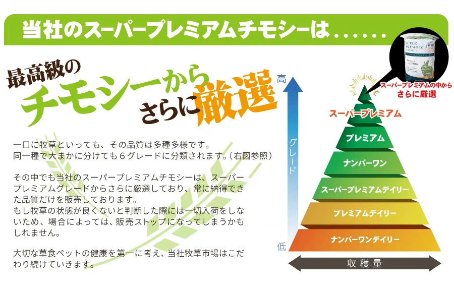 Hay Market Timothy Hay (First Cut) 500g