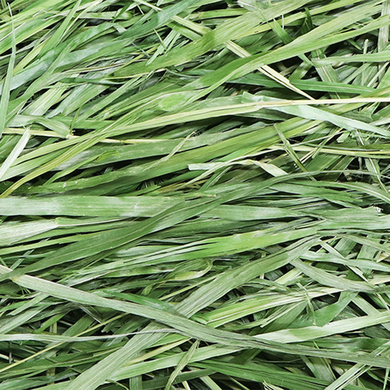 Wooly Morning-Harvested Plateau Grass Mix (4 Types) 400g