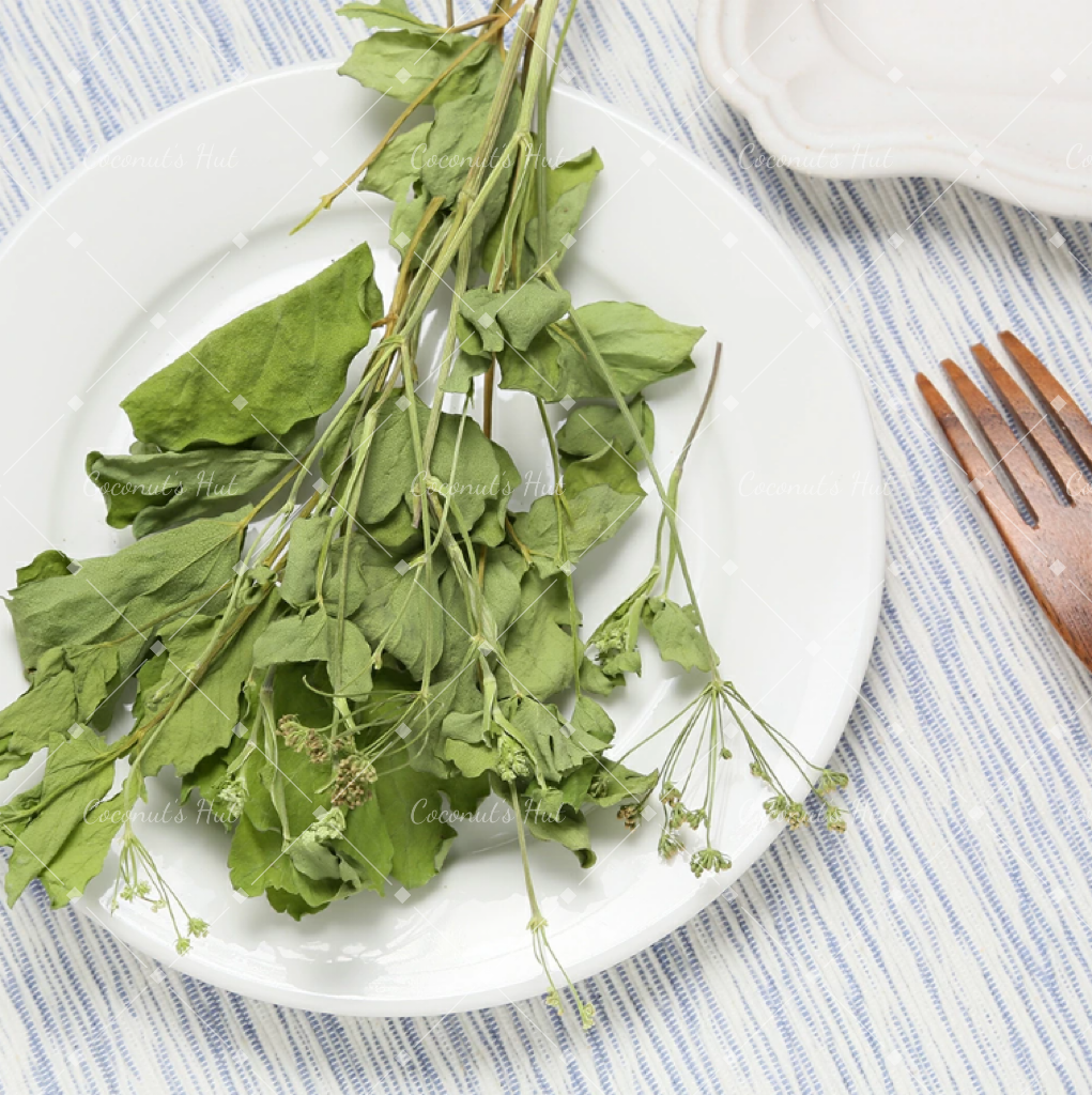 Leafcorp Dried Chomeiso (Peucedanum japonicum) 长命草