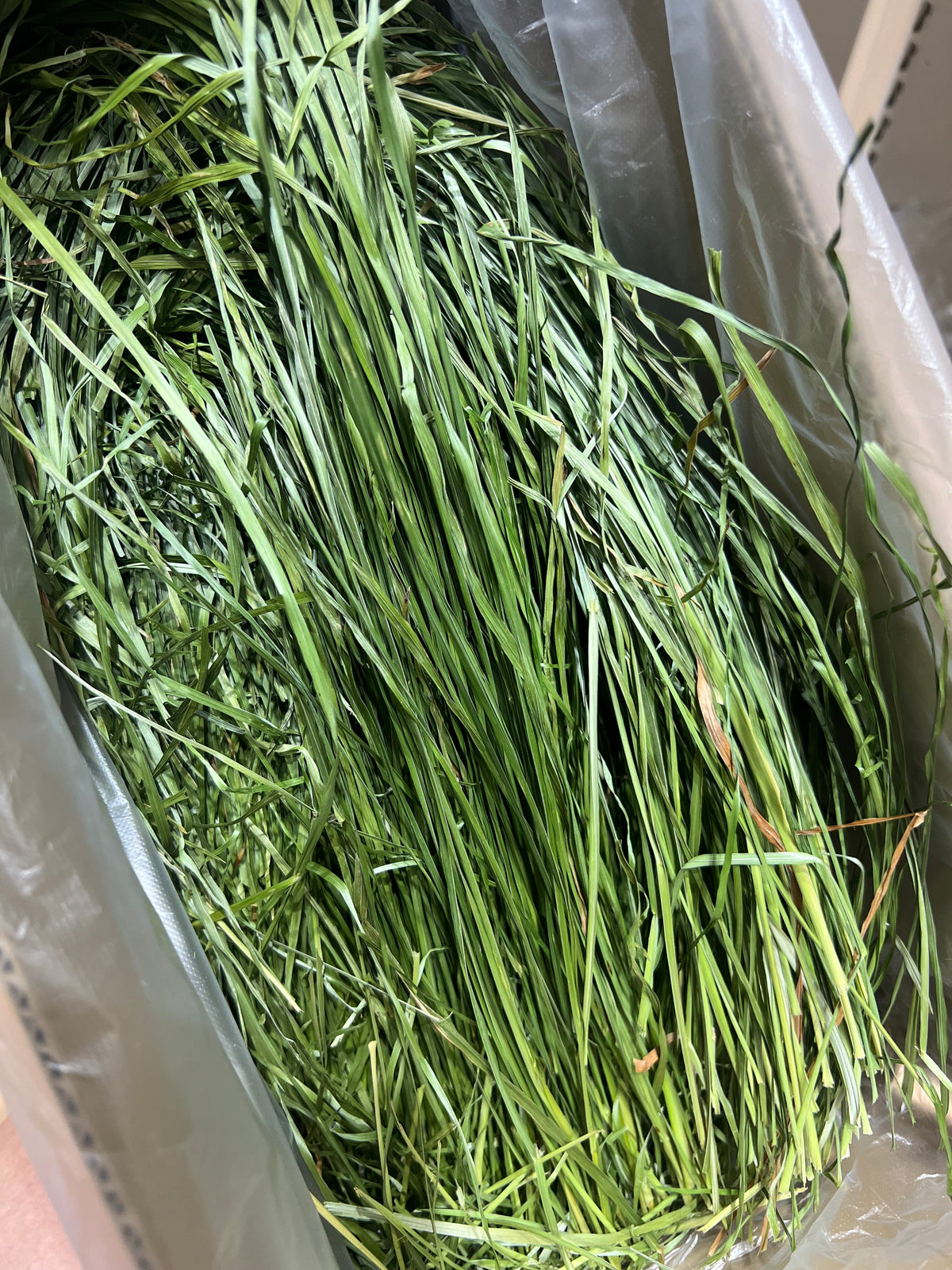 Coconut’s Hut Orchard Hay (Oven Dry) 烘干果园草