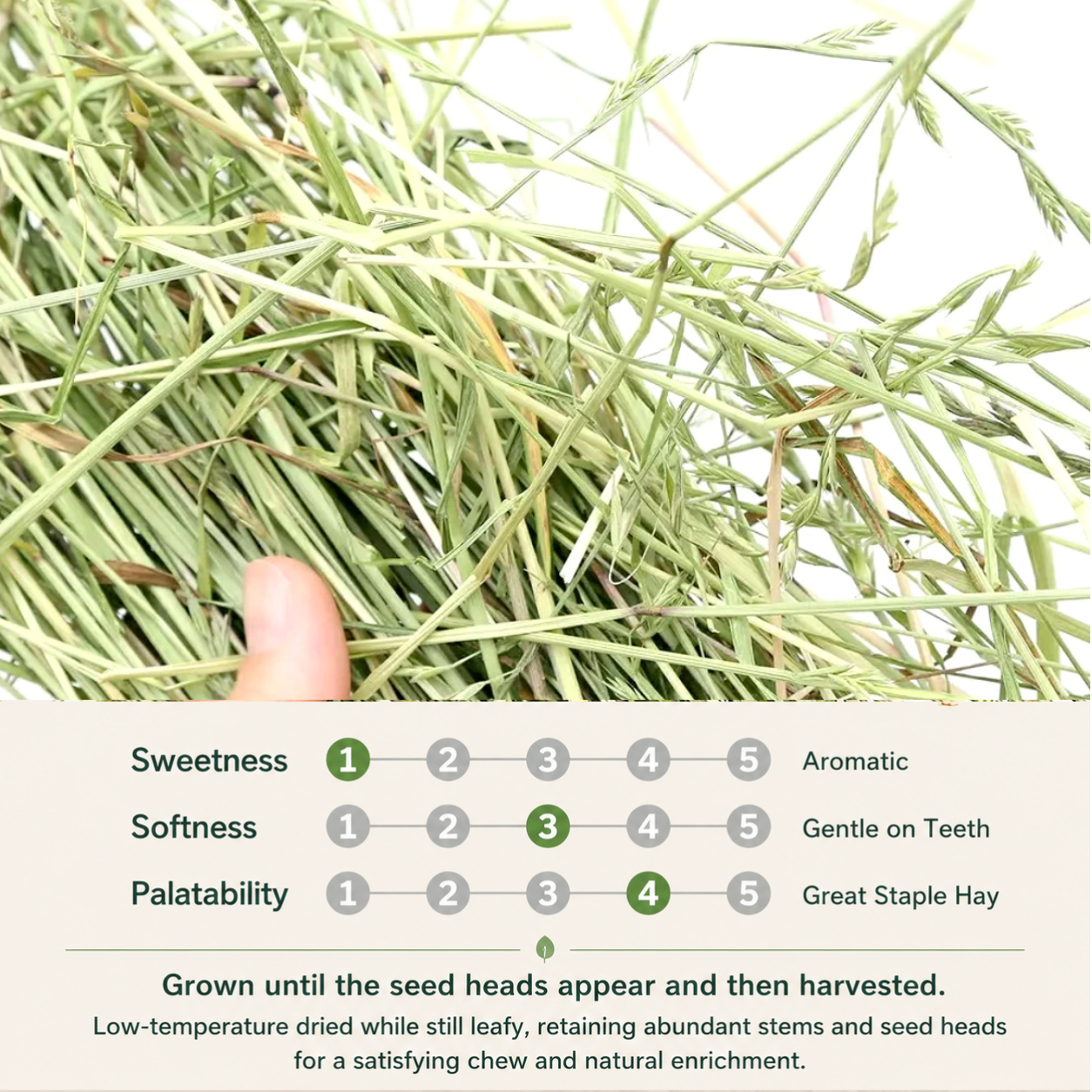 Leafcorp Green Harvest Italian Rye