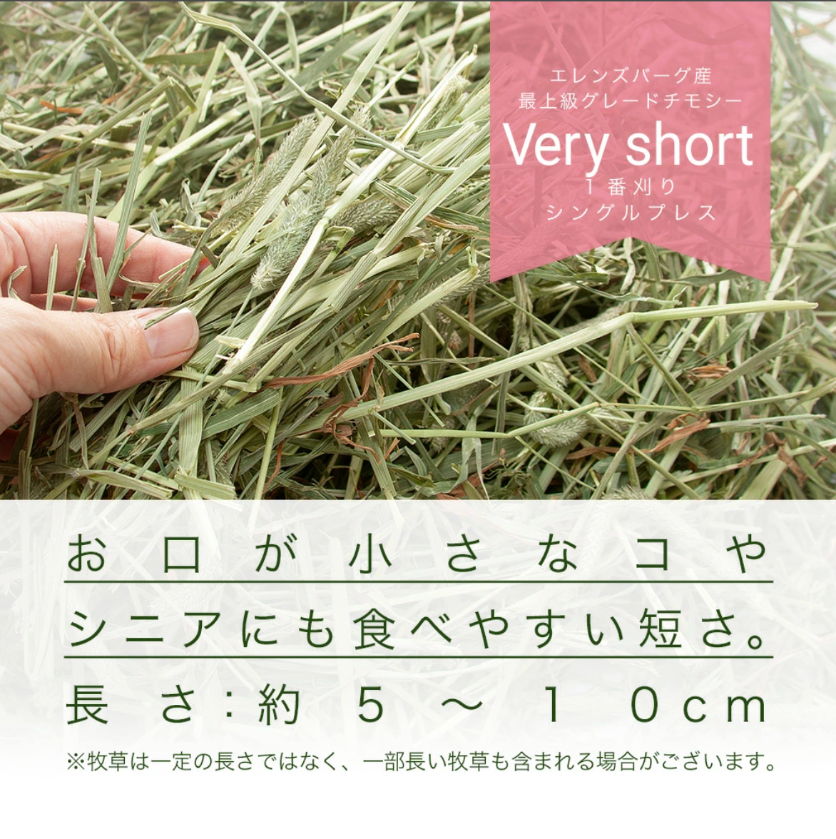 USAYAMA Super Premium Horse Timothy Very Short 600g