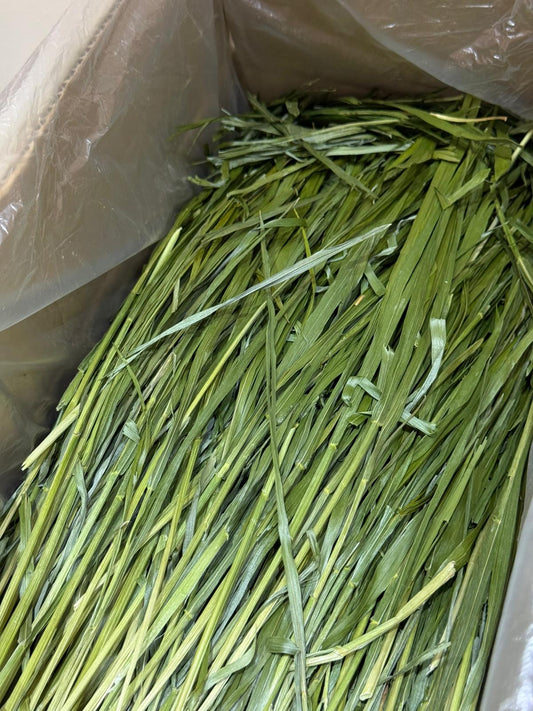 Coconut's Hut Wheat Hay (Oven Dry) 250g