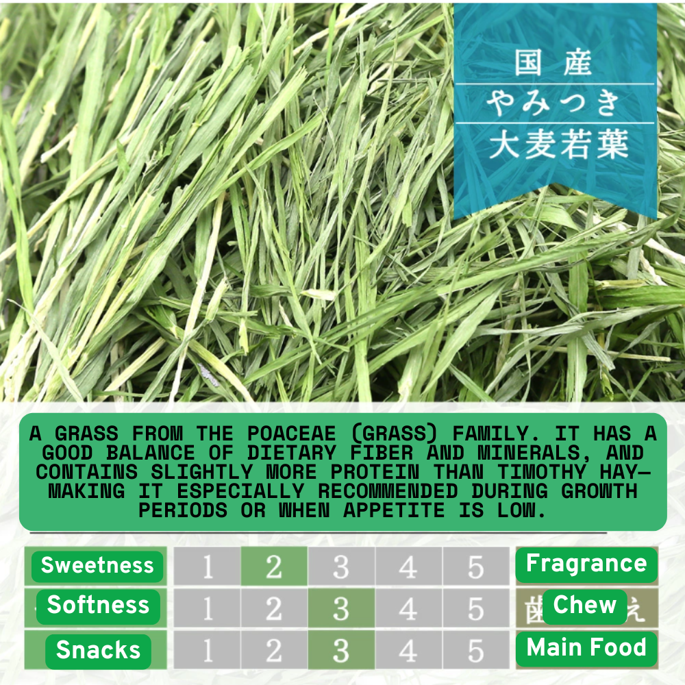 USAYAMA Domestically Grown Addictive Series Young Barley Hay