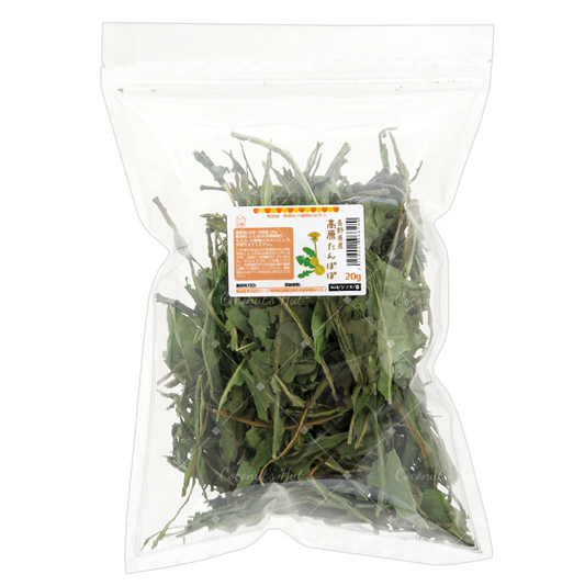 Leafcorp Highland Dandelion from Nagano 日本产 长野县高地蒲公英