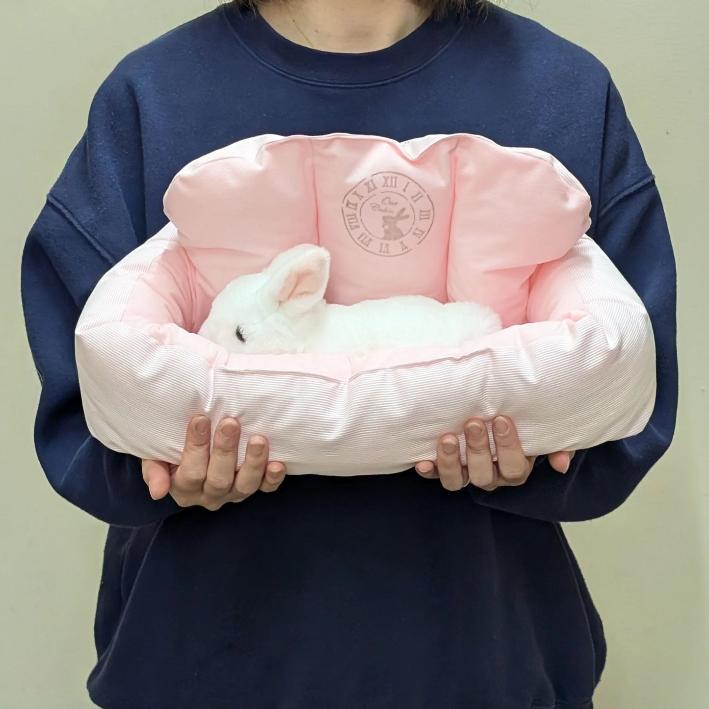 Plus Nursing Care Bed