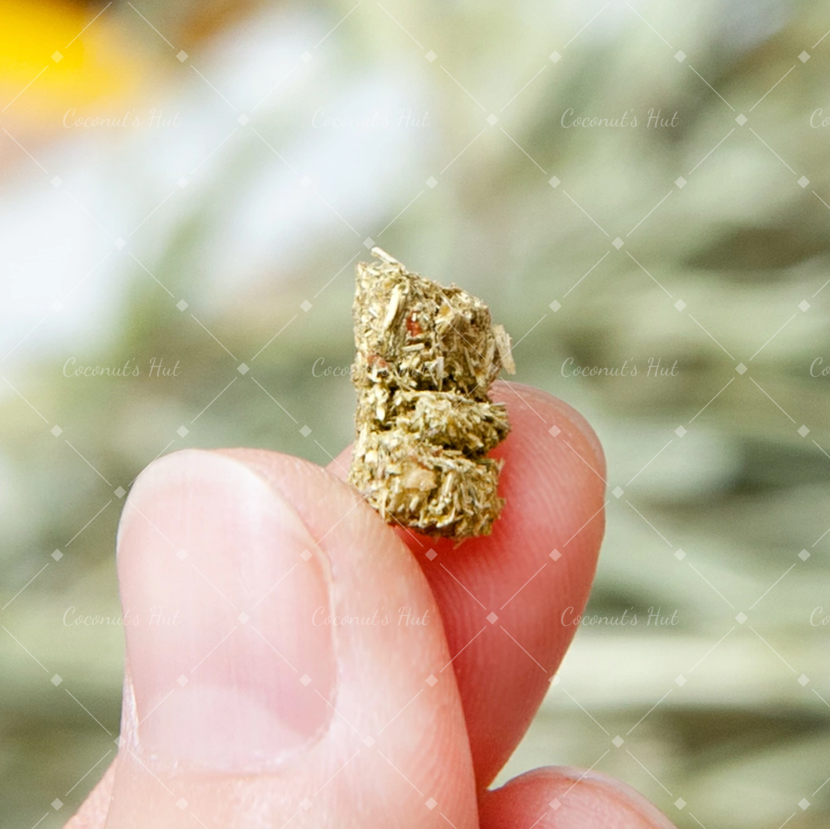 Leafcorp Wheat FlourFree Rabbit Treat 无小麦粉 草条零食