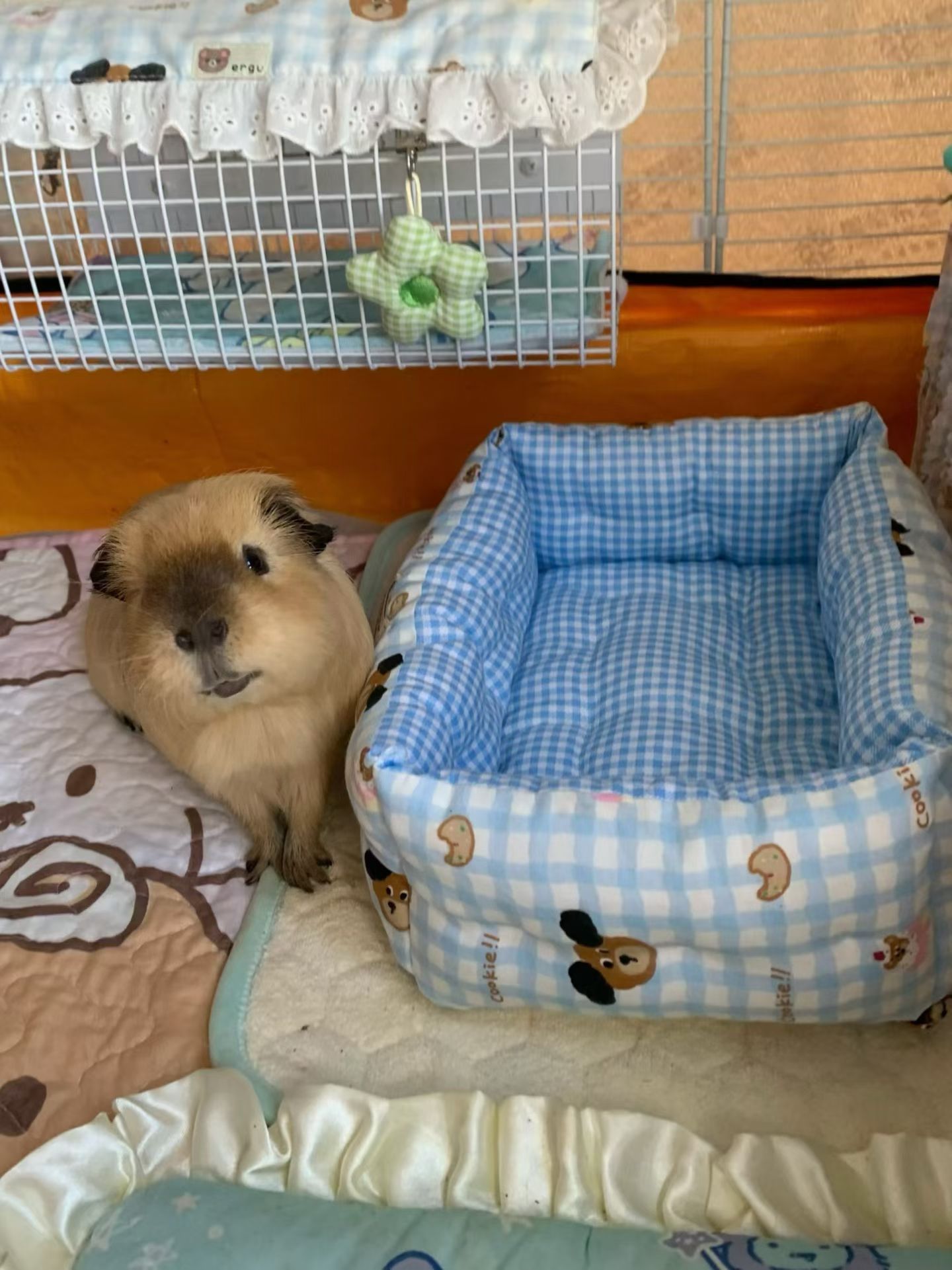 ATDZ Rectangle Cotton Pet Bed