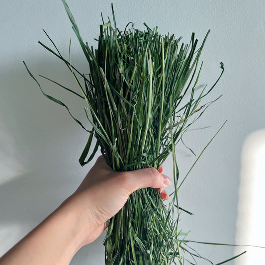 Coconut's Hut Timothy Hay (Oven Dry) 1kg