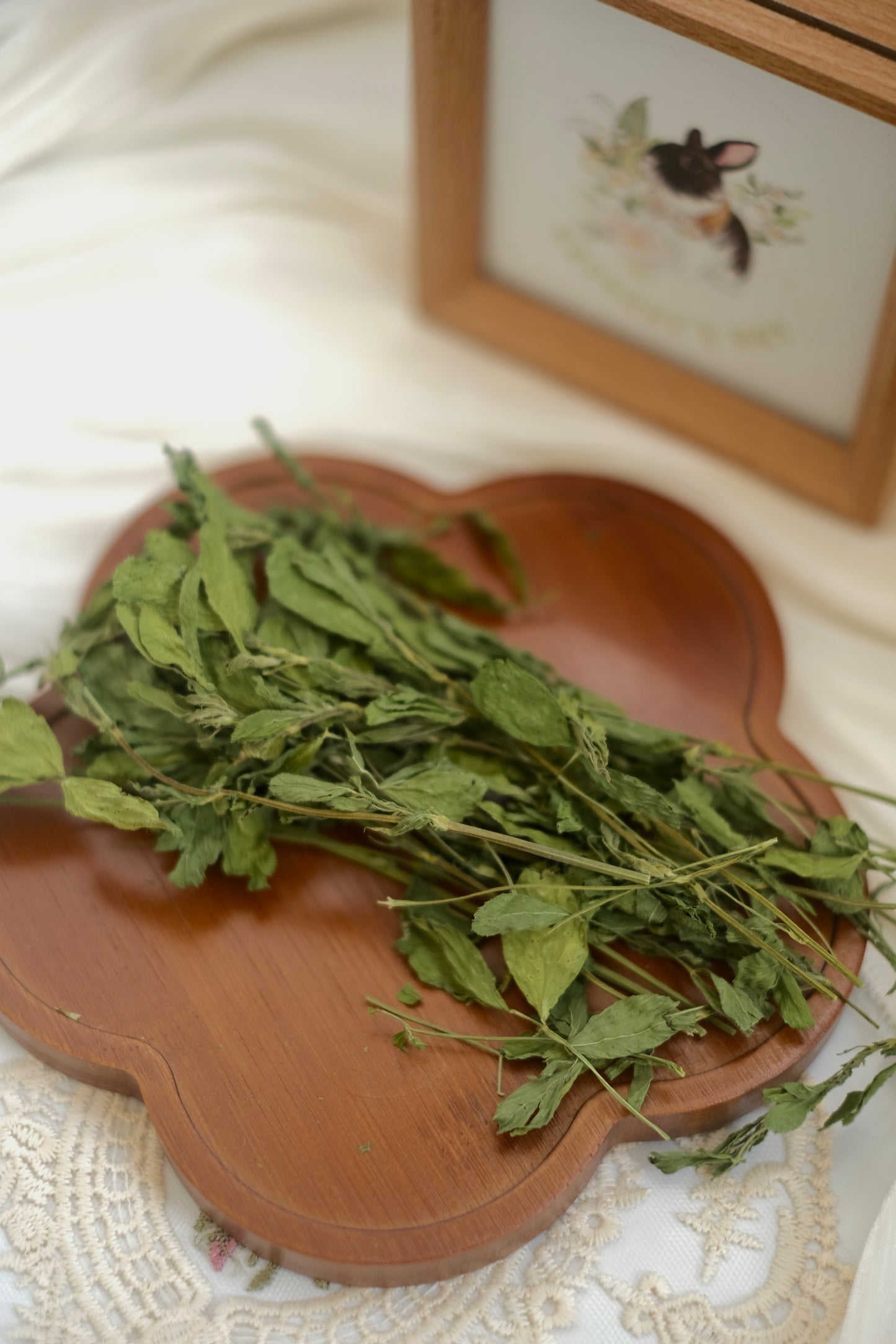 Coconut's Hut Alfafa Hay 220g