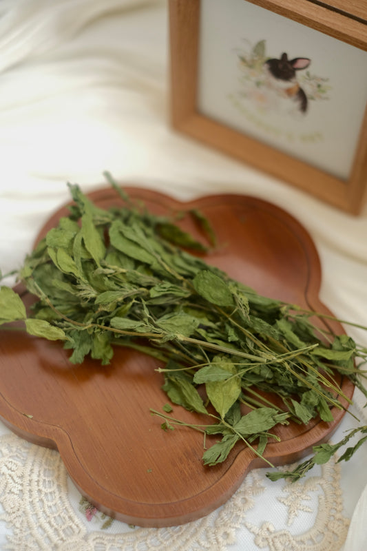 Coconut's Hut Alfafa Hay 220g