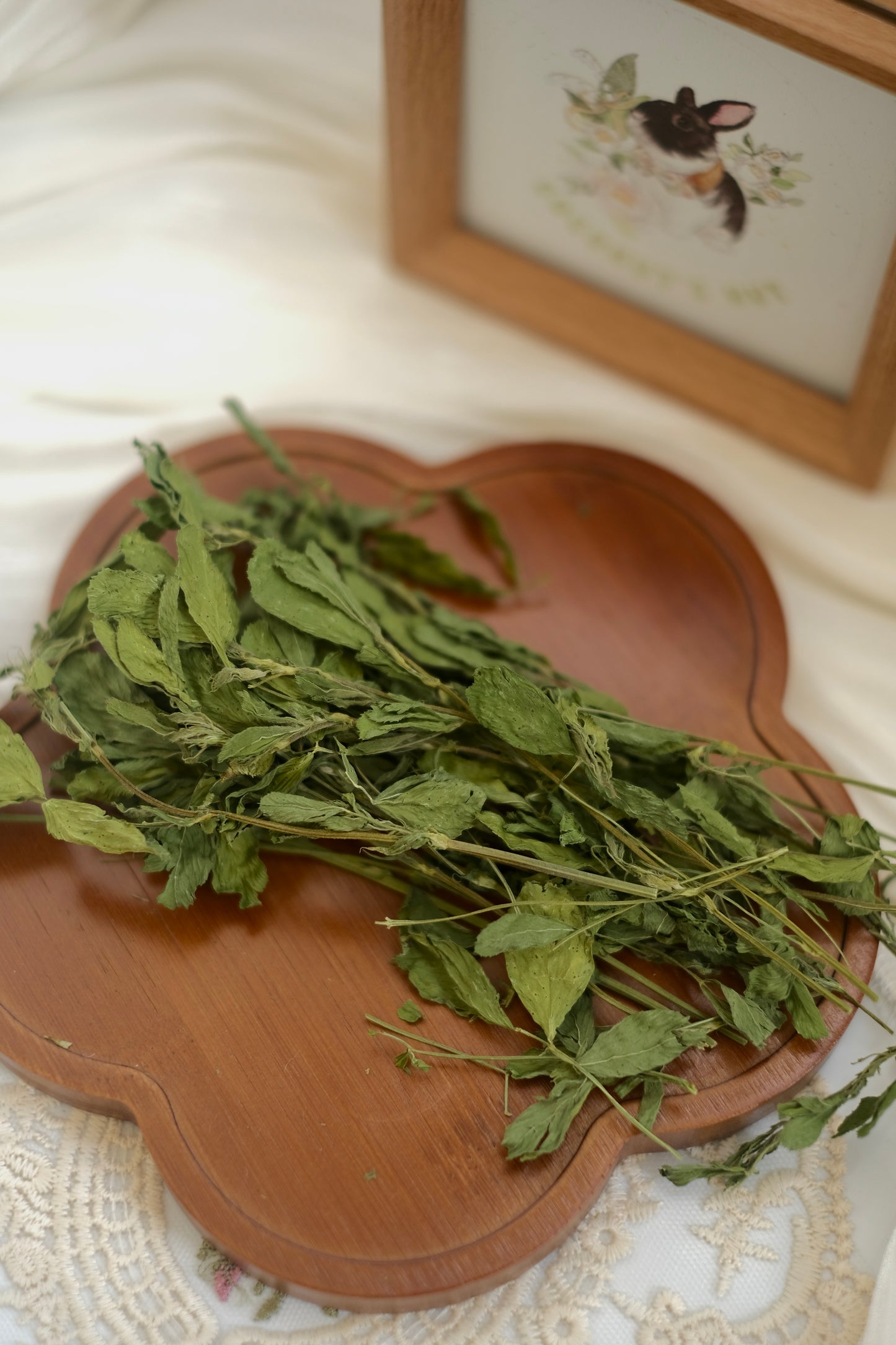 Coconut's Hut Alfafa Hay 220g