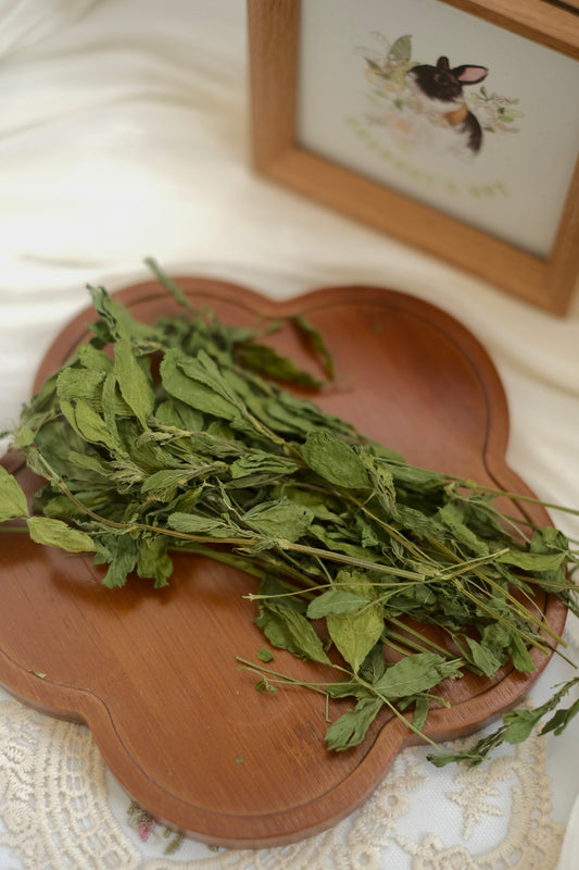 Coconut's Hut Alfafa Hay 220g