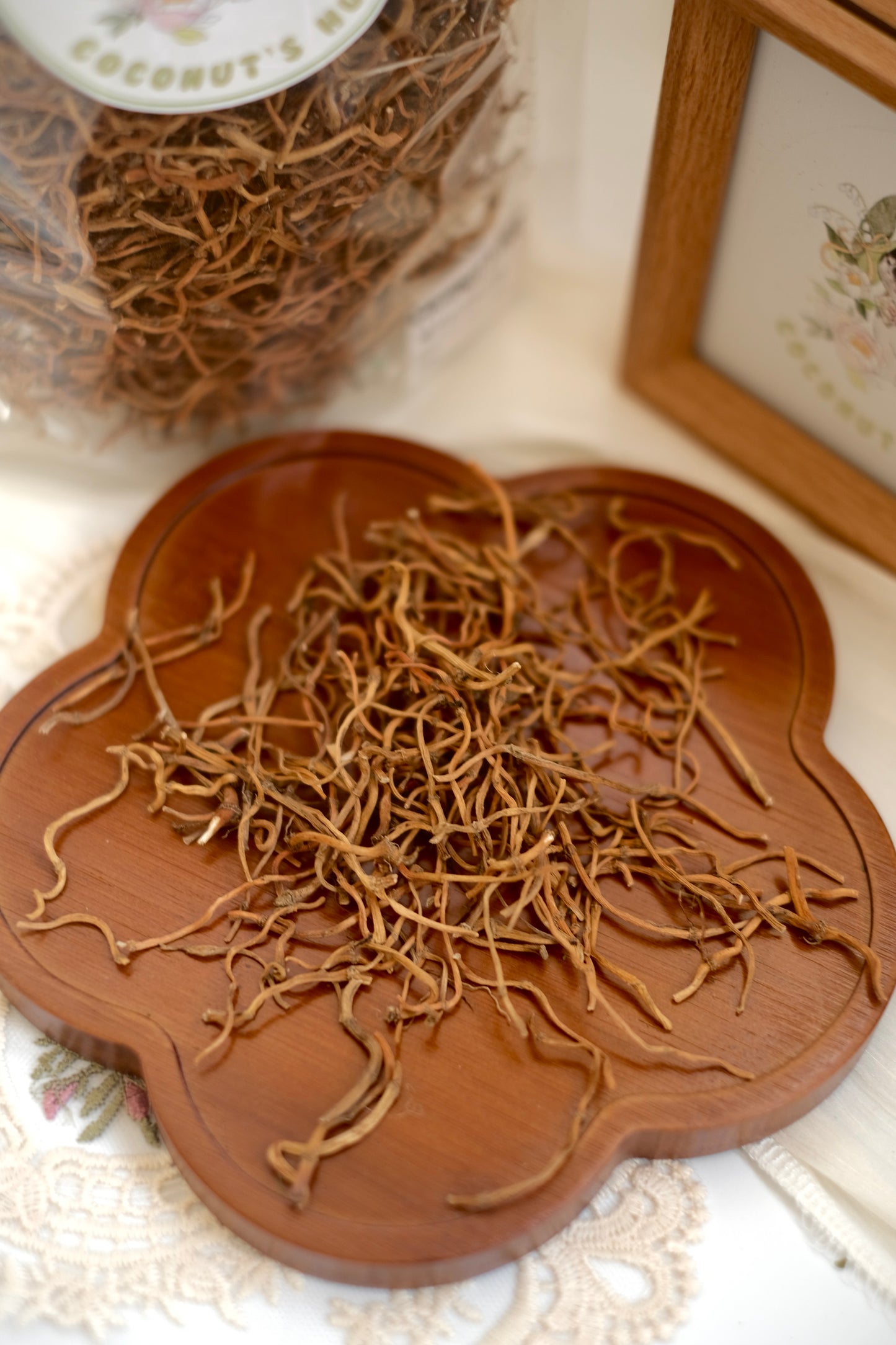 Coconut's Hut Fish Mint (Houttuynia cordata) 100g