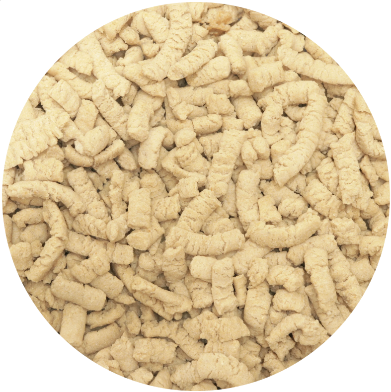 Wooly Rabbit's Lactid Acid Bacteria Lab 2026