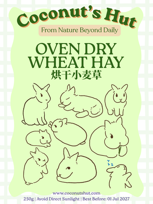 Coconut's Hut Wheat Hay (Oven Dry)烘干小麦草