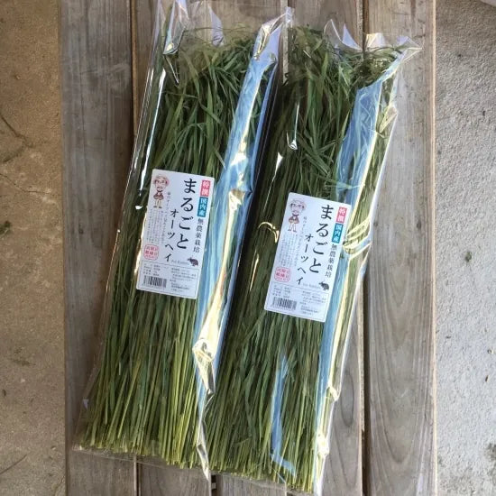 Rabbit's Fukuoka Oat Hay