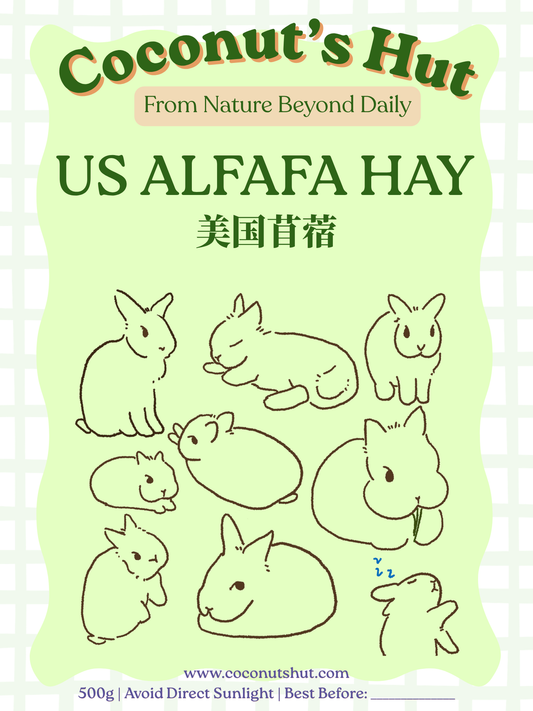Coconut's Hut US Alfafa Hay 500g 美国苜蓿草