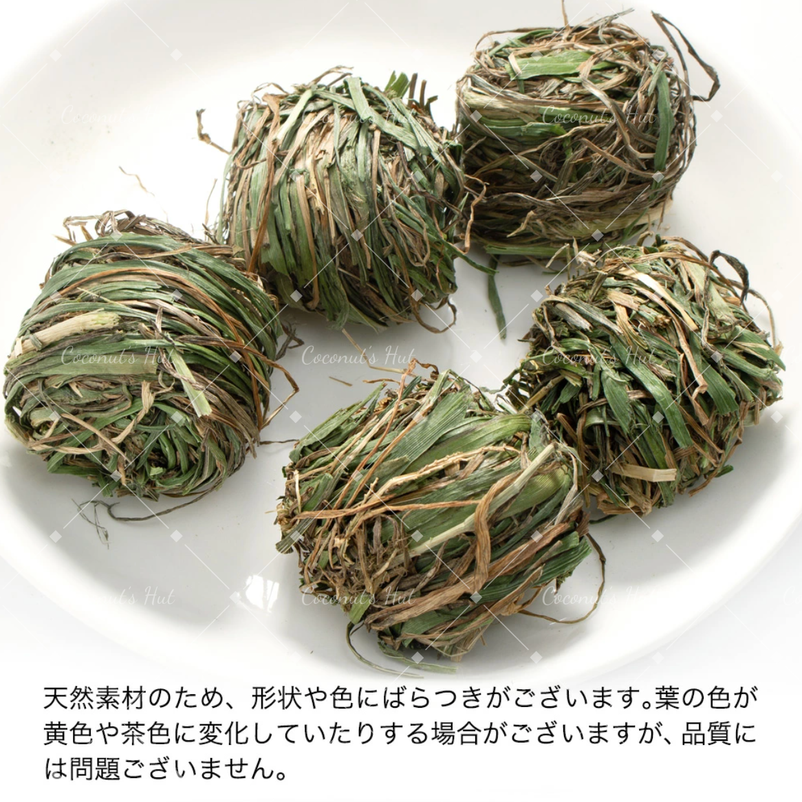 Leafcorp Italian Ryegrass Forage Ball 日本产 黑麦草球