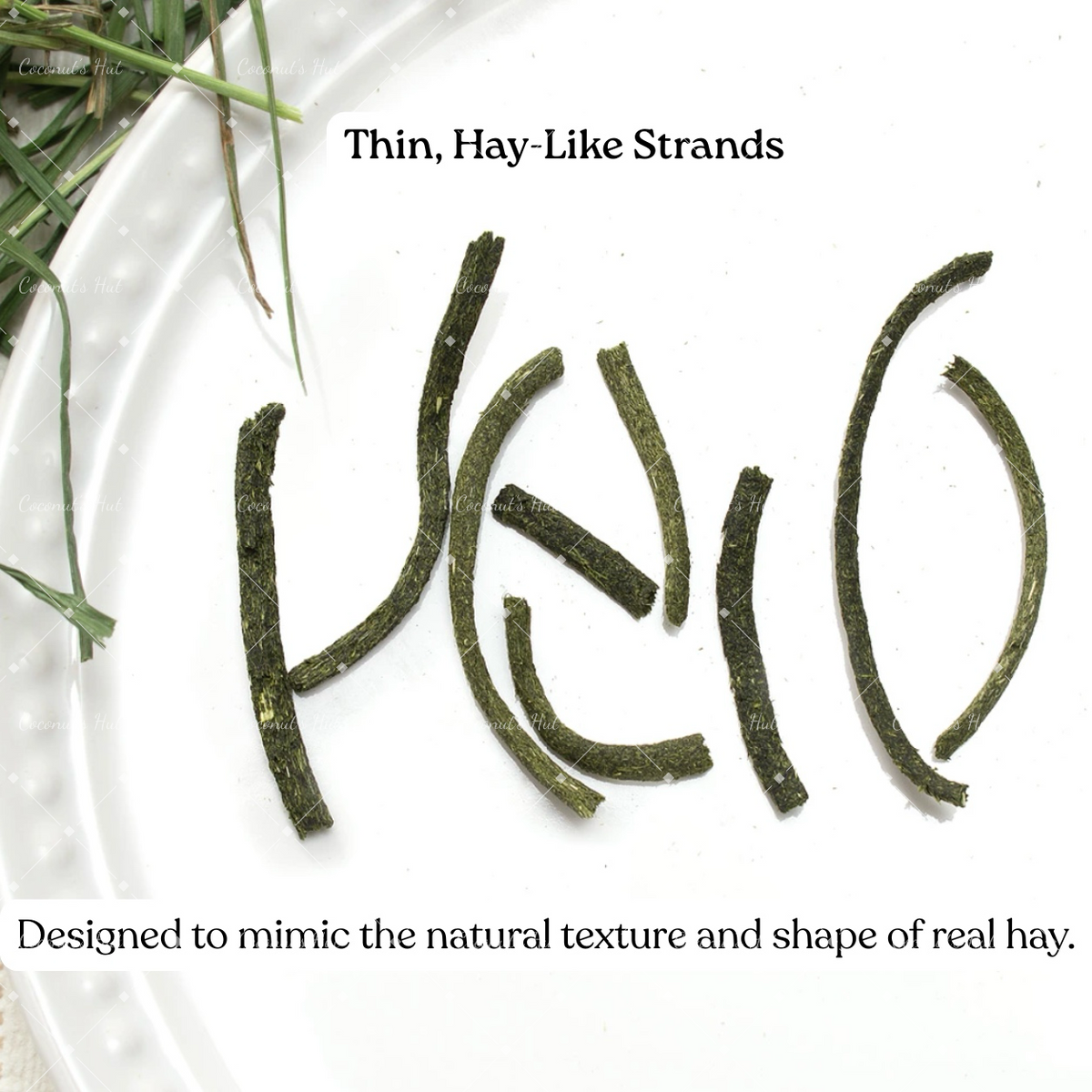 Leafcorp Meadow Time Italian Ryegrass Sticks 日本产 牧草时间意大利黑麦草条