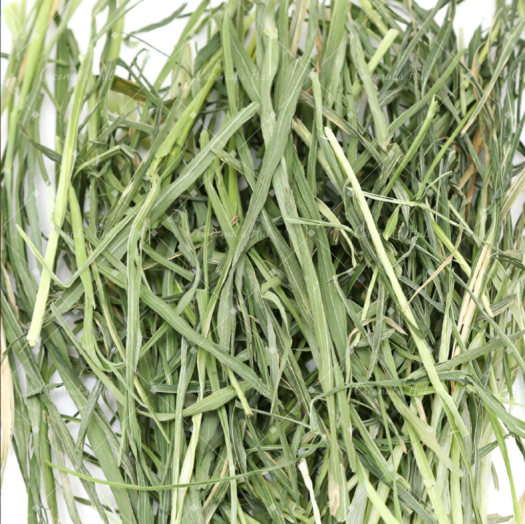 Leafcorp Yamitsuki (Addictive) Oat Hay 日本产 上瘾燕麦草