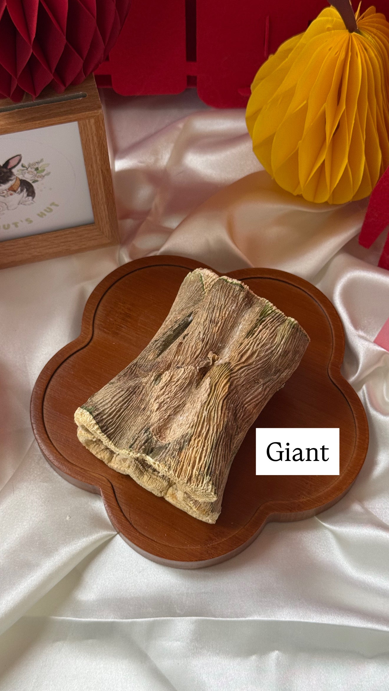 Coconut's Hut Papaya Wood Chew