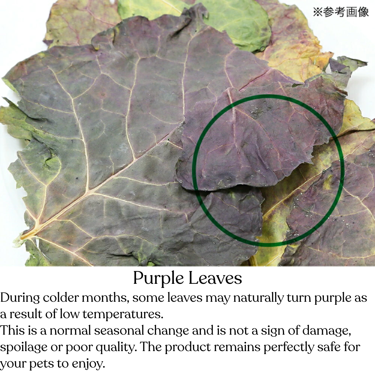 Leafcorp Brocoli Leaves
