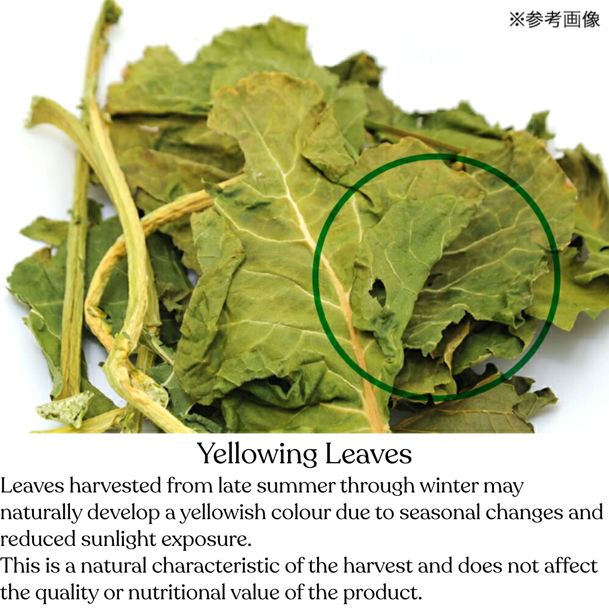 Leafcorp Brocoli Leaves