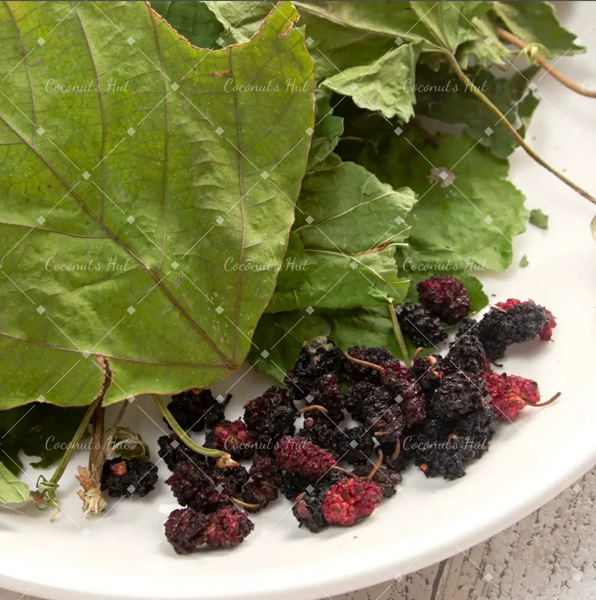 Leafcorp Mulberry leaves and fruits 日本产 桑葚叶和桑葚果