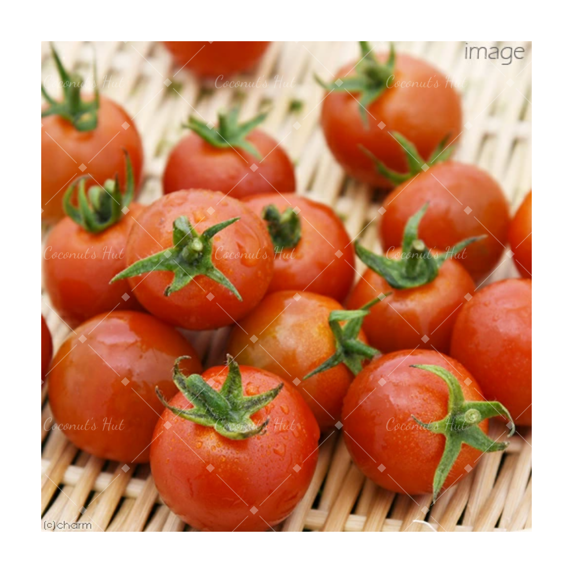 Leafcorp Cherry Tomato 日本产 樱桃番茄