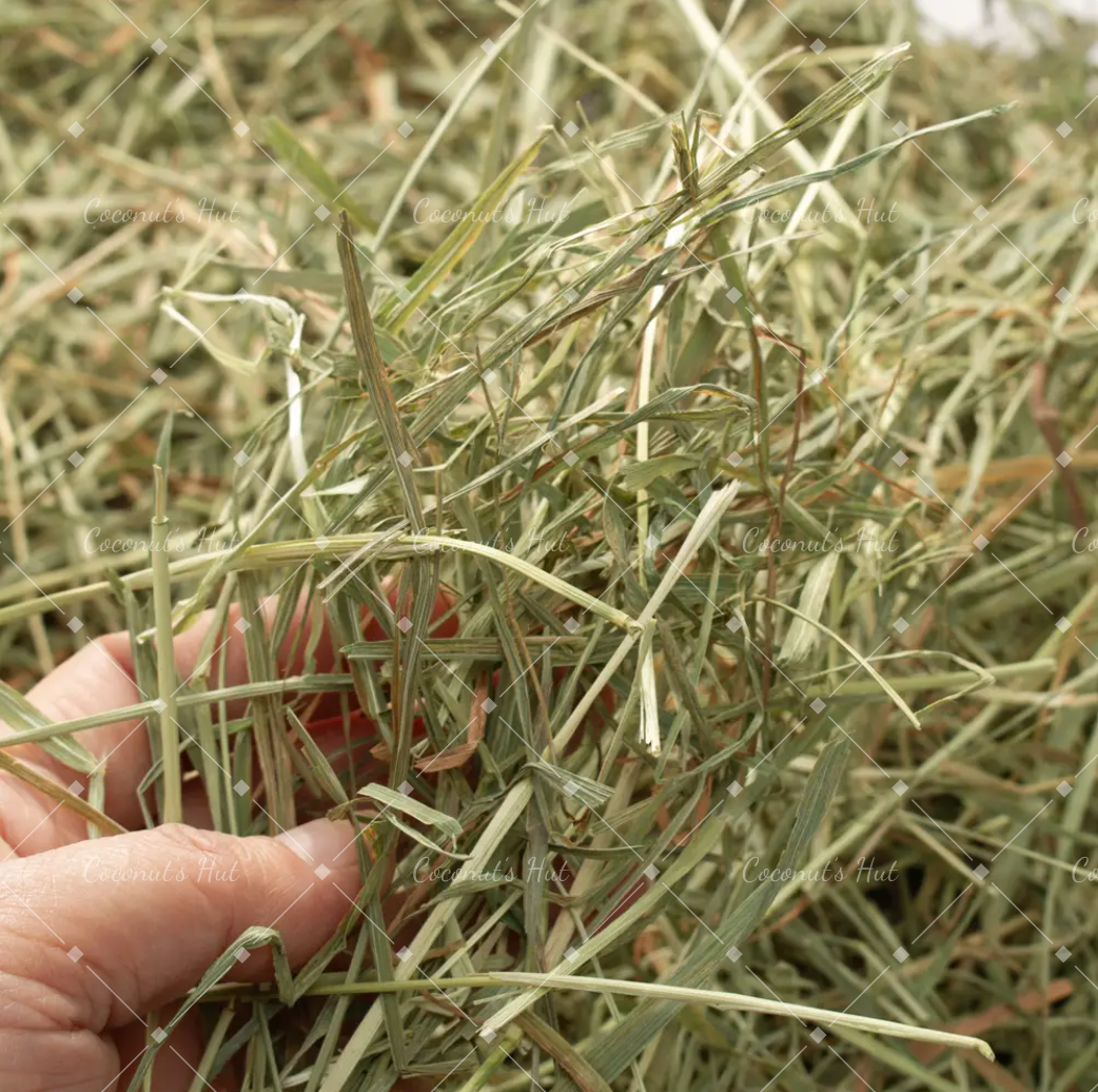 Leafcorp Super Premium Timothy Hay, Soft 特级美国提草 软