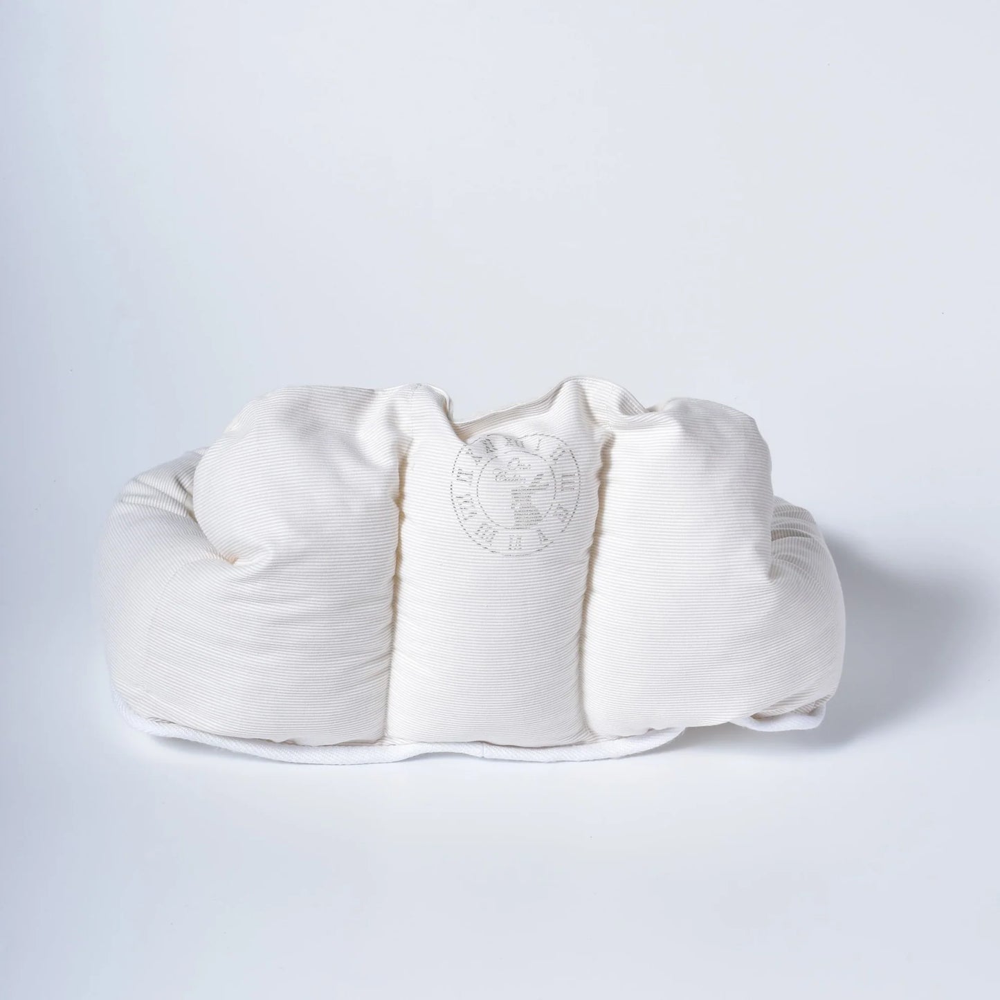 Plus Nursing Care Bed
