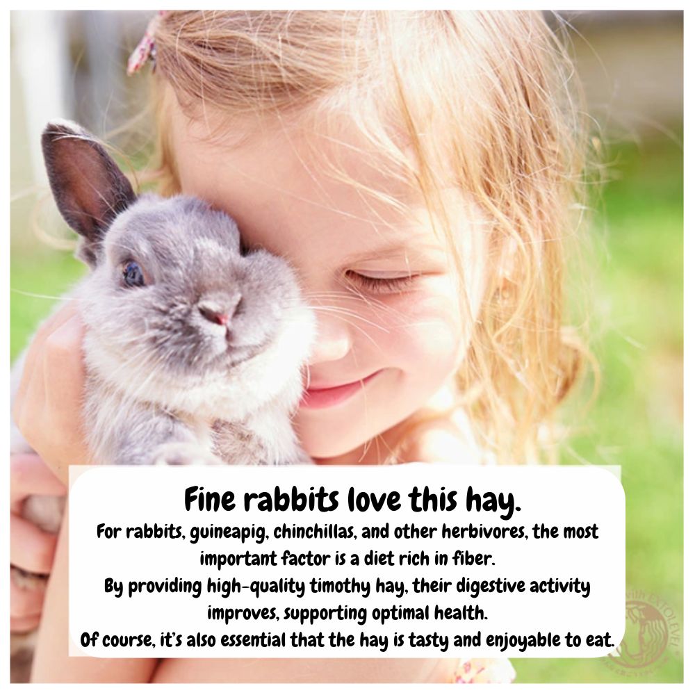 Extolevel Pasture Premium (First Cut) 500g