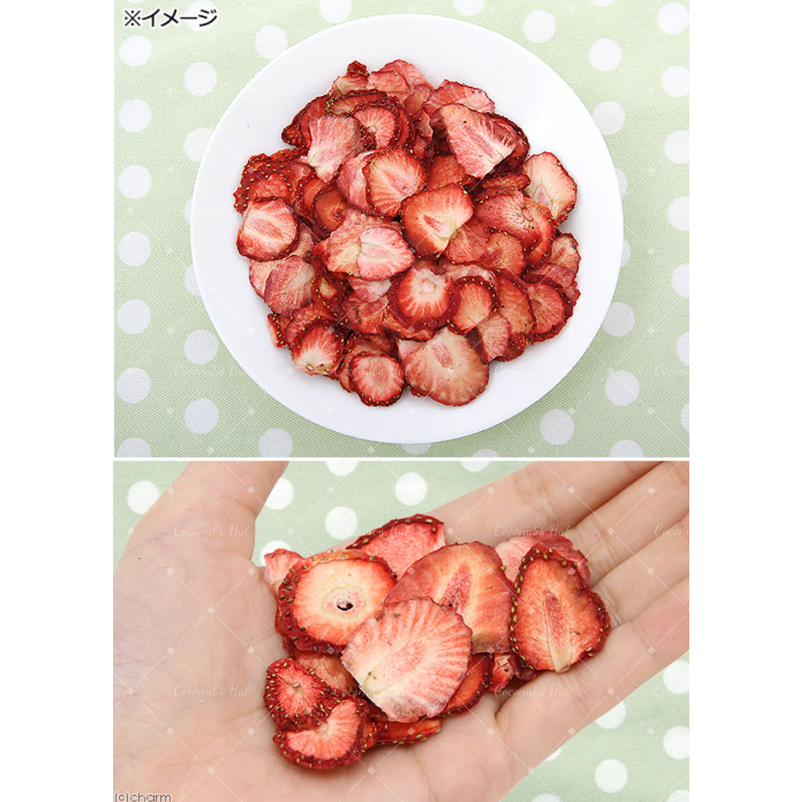 Leafcorp Dried Strawberry 日本产 草莓