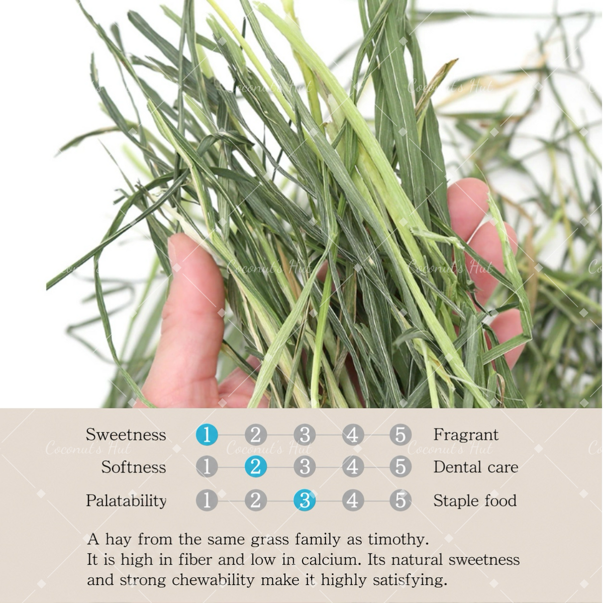 Leafcorp Yamitsuki (Addictive) Oat Hay 日本产 上瘾燕麦草