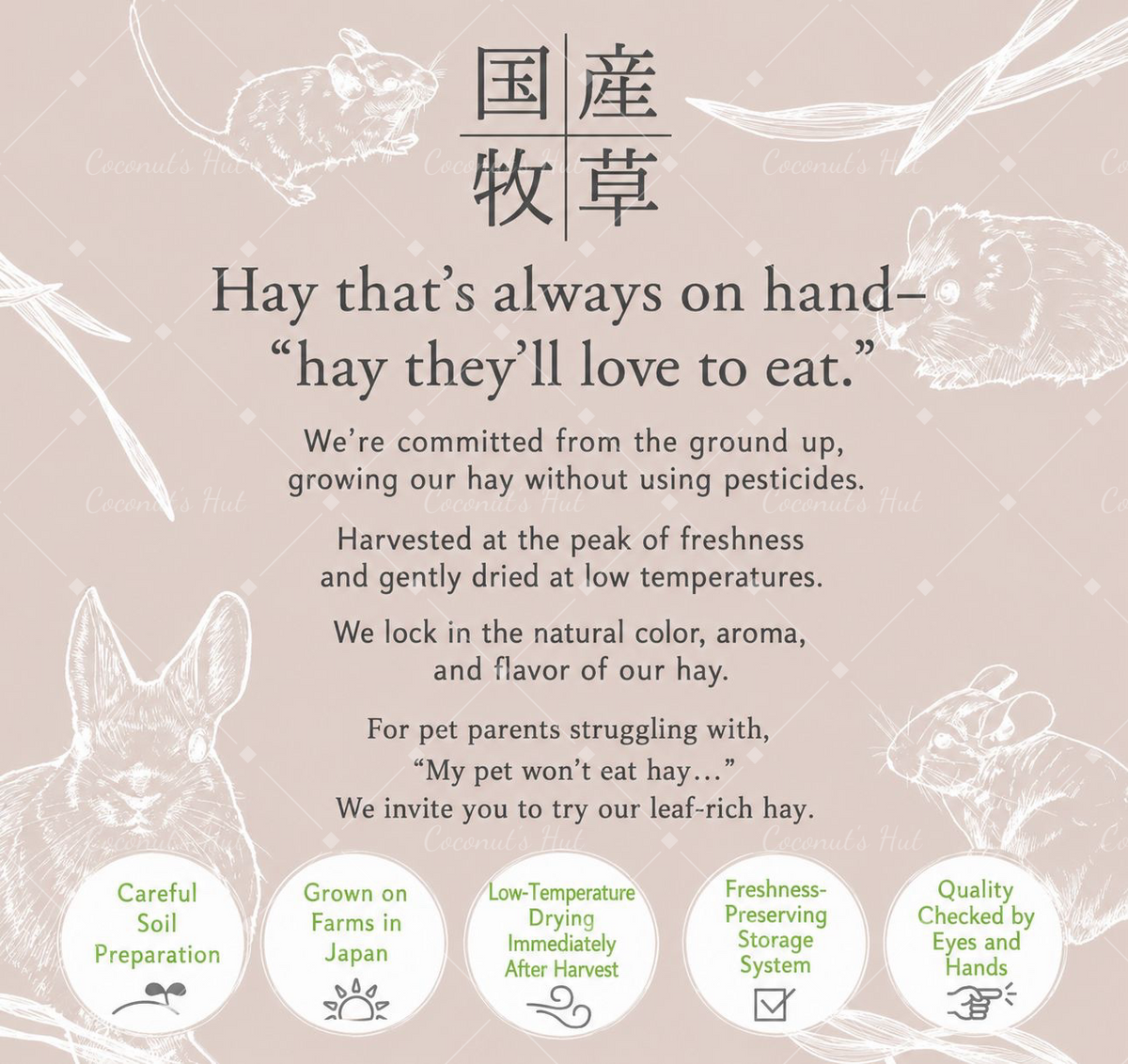 Leafcorp Stemless Oat Hay 日本产 全叶燕麦草