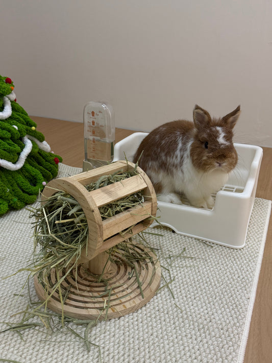 Wooden Hay Feeder with Stand
