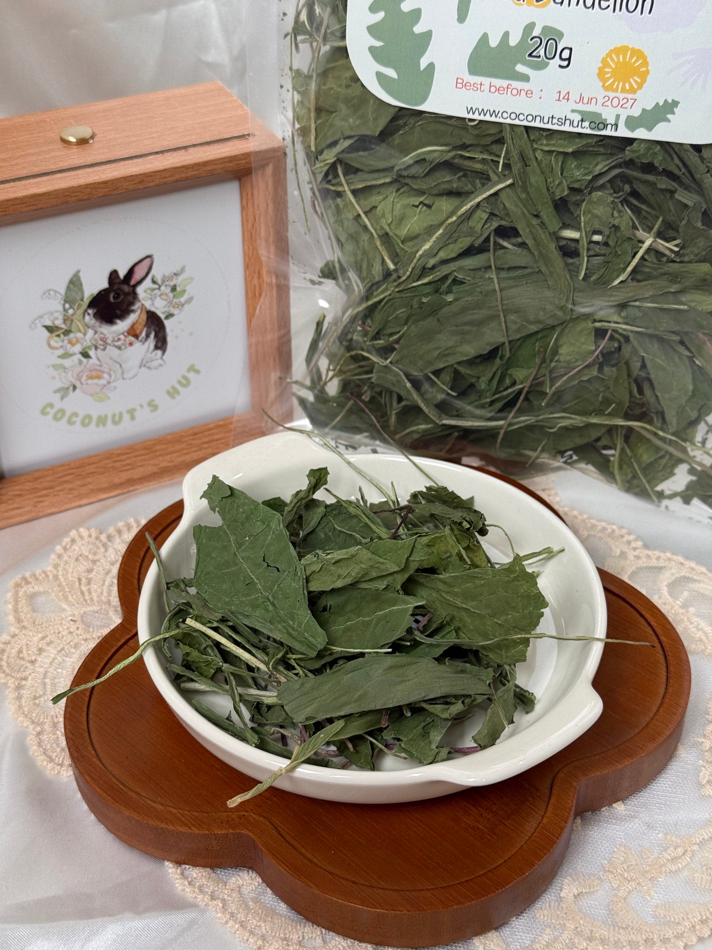 Coconut's Hut Dandelion Leaves 蒲公英叶
