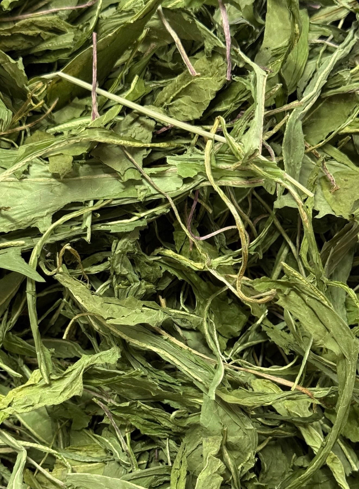 Coconut's Hut Dandelion Leaves 蒲公英叶