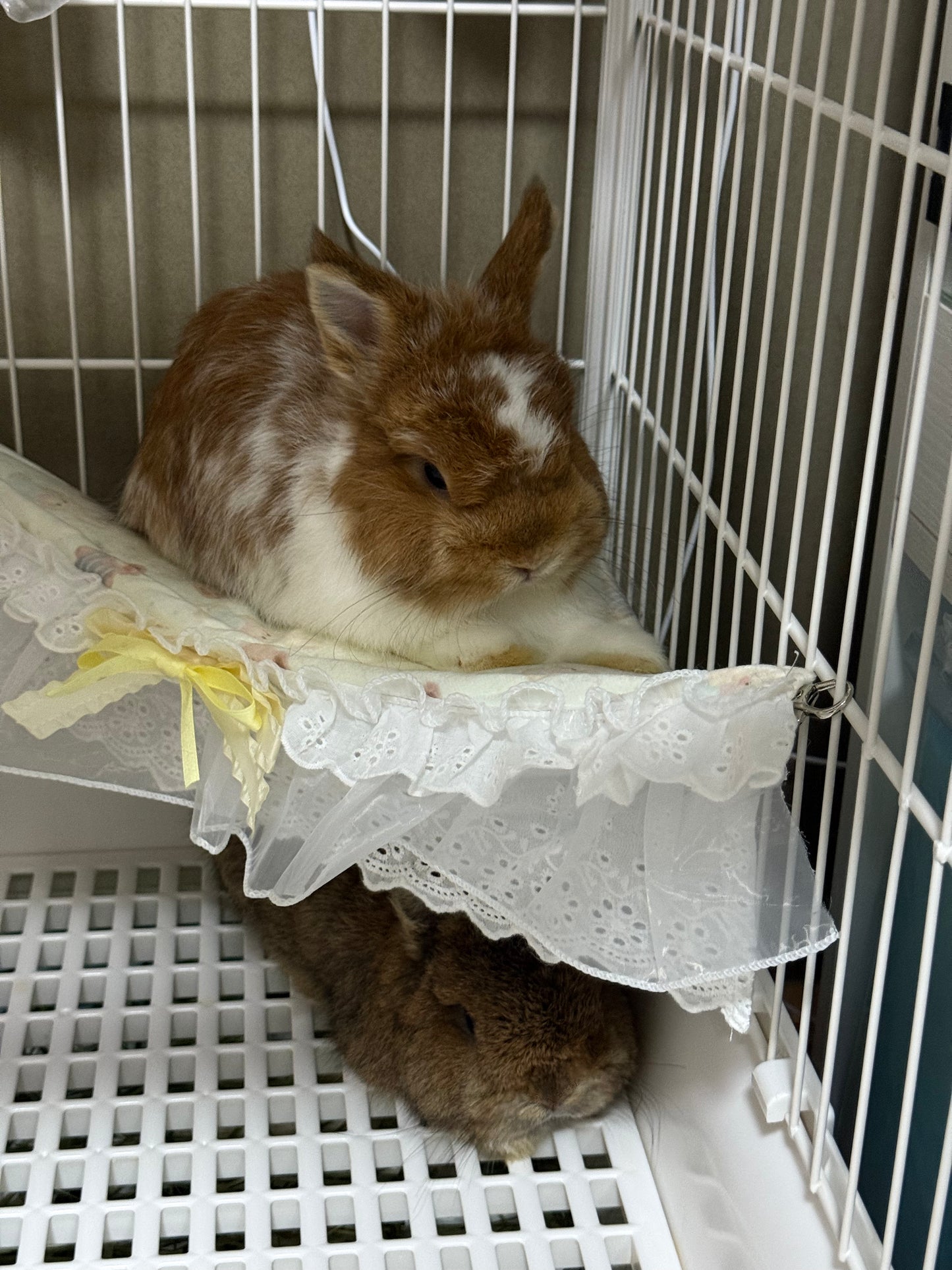 ERGU Small Pet Triangle Hammock