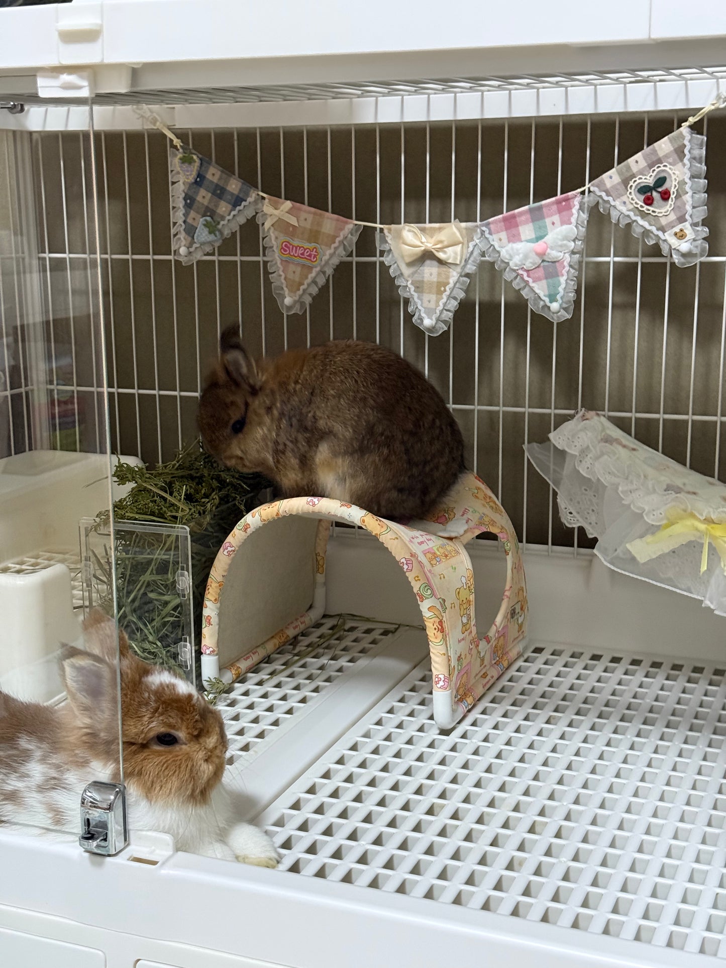 ERGU  Small Pet Tunnel Toy PVC Pipe