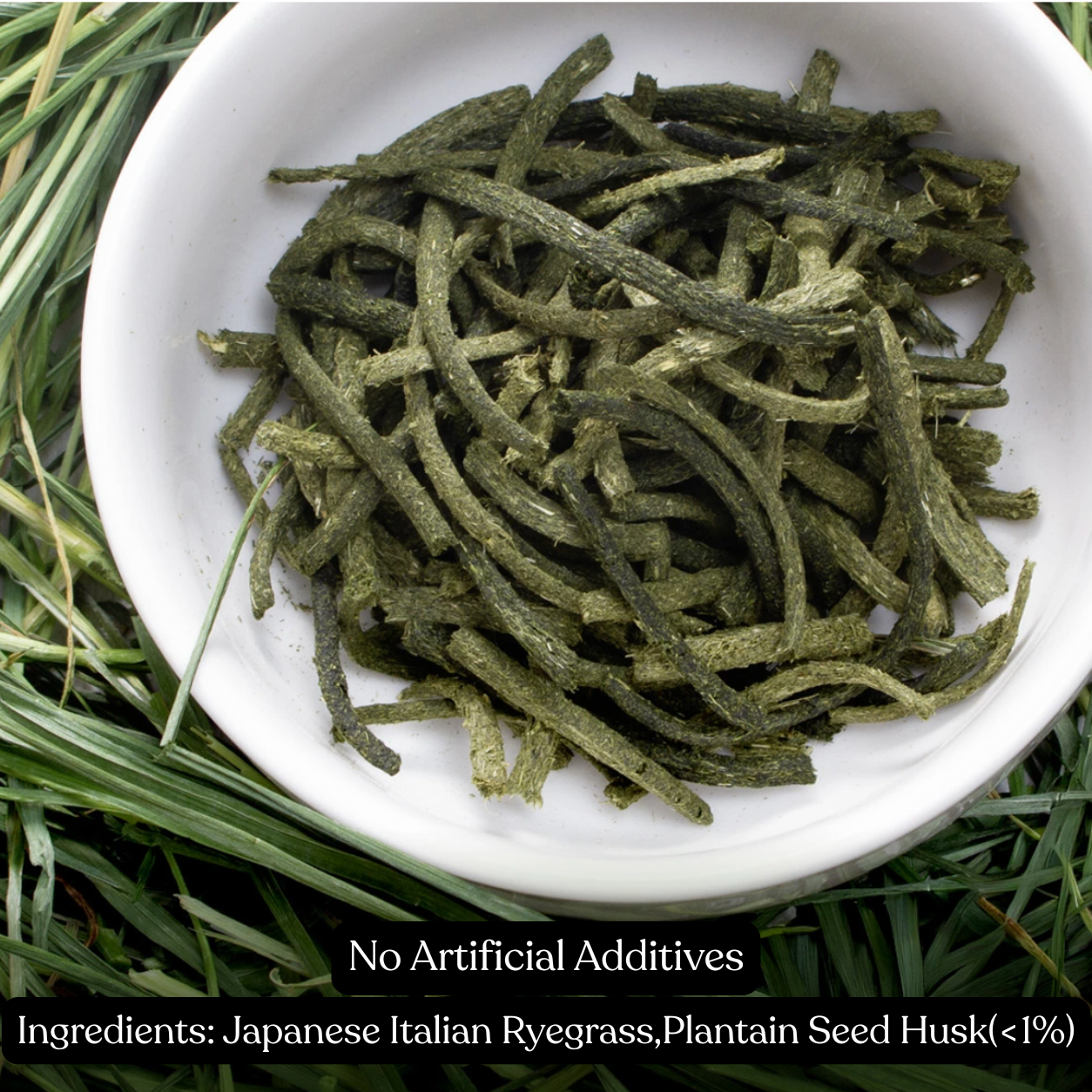 Leafcorp Meadow Time Italian Ryegrass Sticks