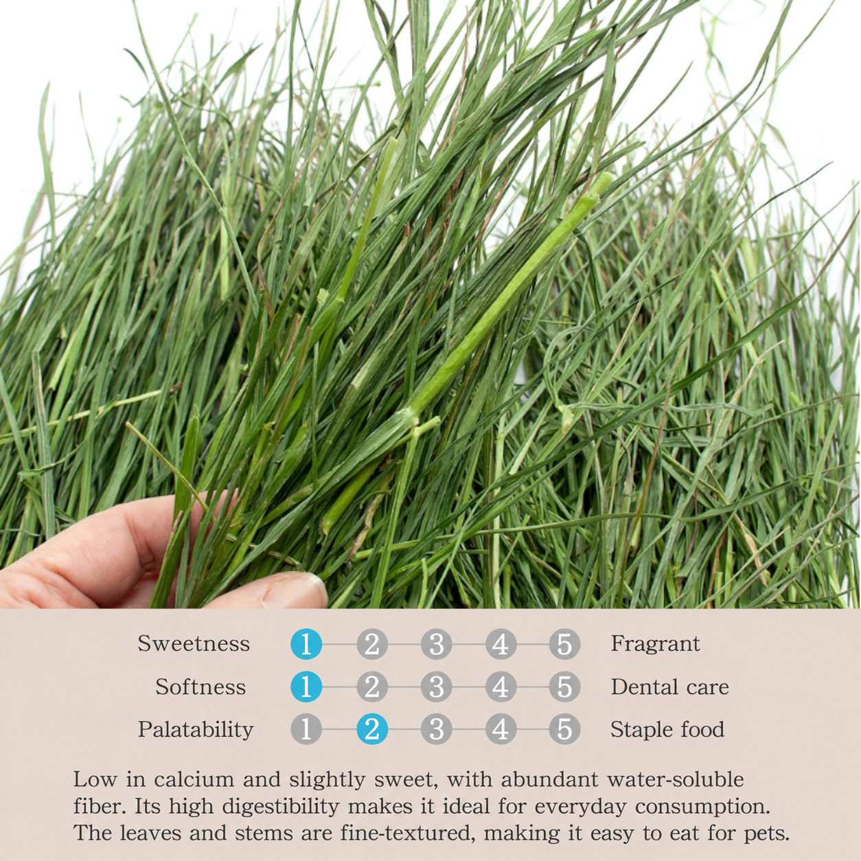Leafcorp Domestically Grown Addictive Series Italian Young Ryegrass