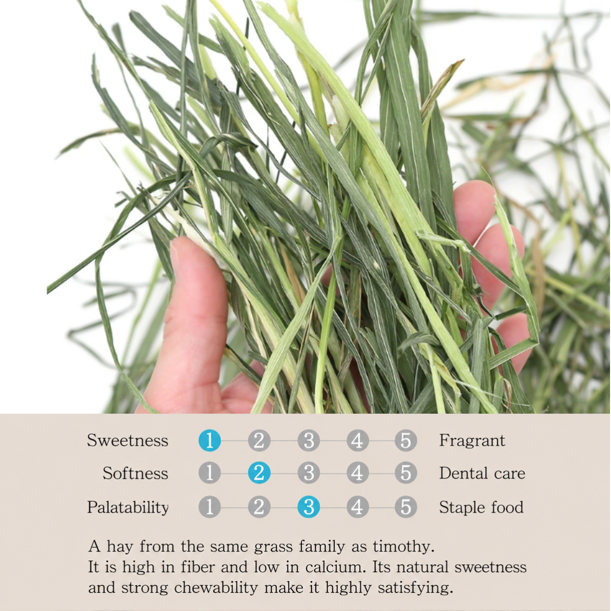 Leafcorp Addictive Oat Hay 燕麦草 (SGPF Promotion)
