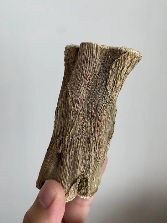 Coconut's Hut Papaya Wood Chew