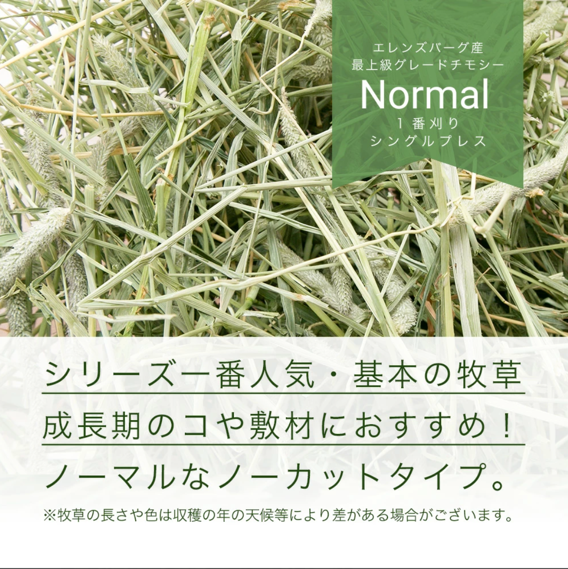 USAYAMA Super Premium Horse Timothy Normal 600g