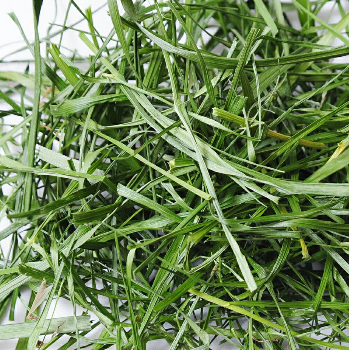 Leafcorp Seasonal Soft Italian Ryegrass