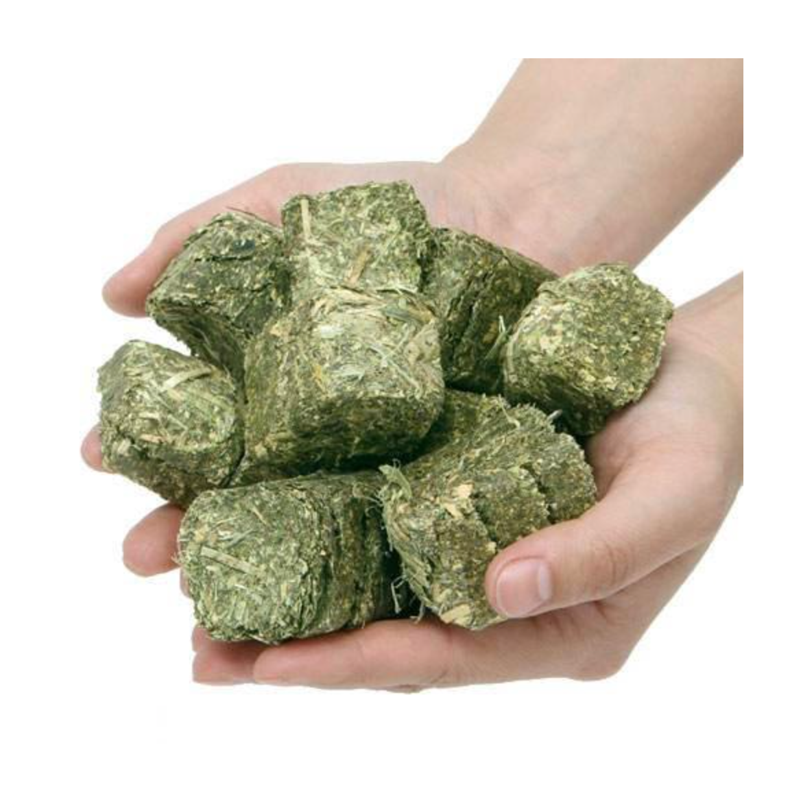 Leafcorp American Alfafa Hay Cube 300g
