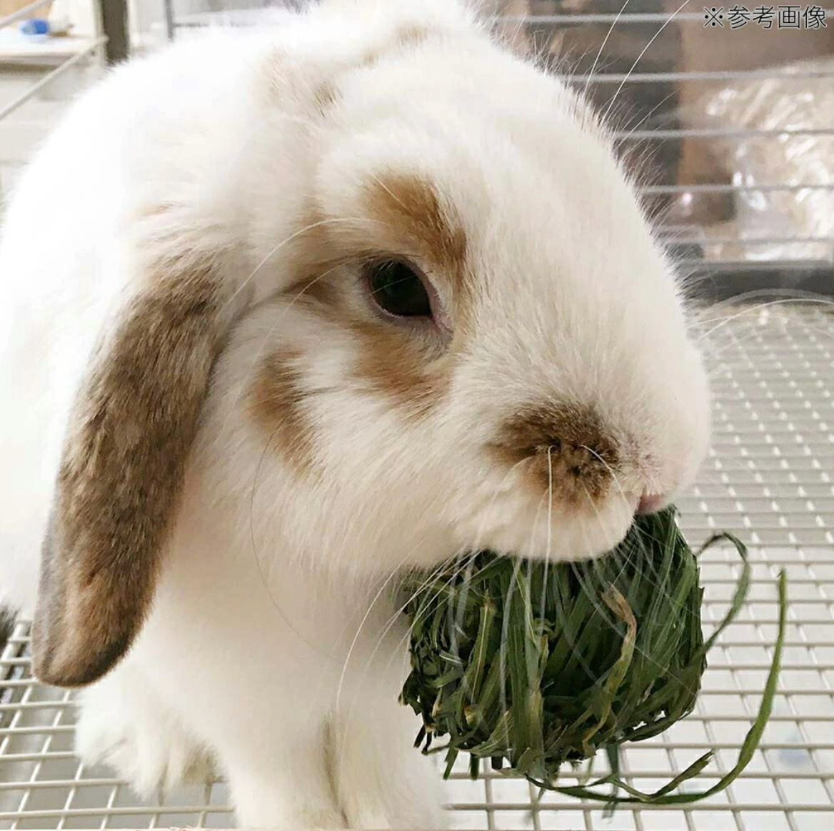 USAYAMA Italian Ryegrass Ball 5pcs