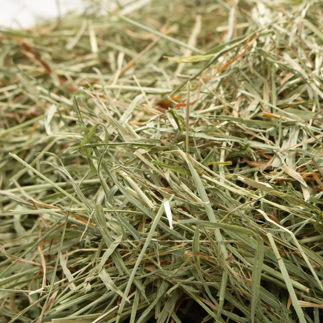 Leafcorp 2025 Harvest Super Premium Horse Timothy Hay, Soft Type 600g
